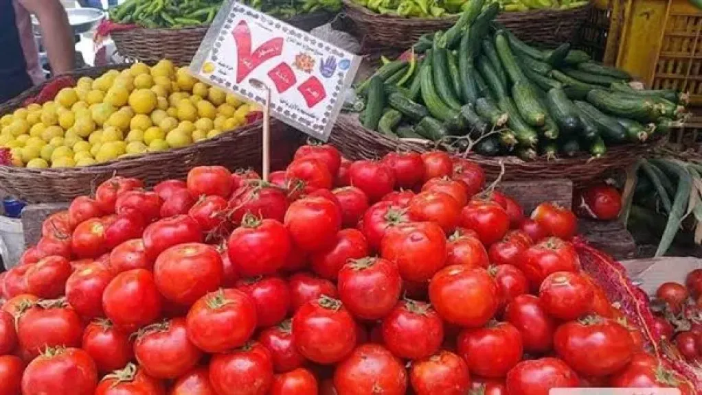 ”الزراعة”: ”لو شائعة السوسة صحيحة لوصل سعر كيلو الطماطم 300 جنيه”