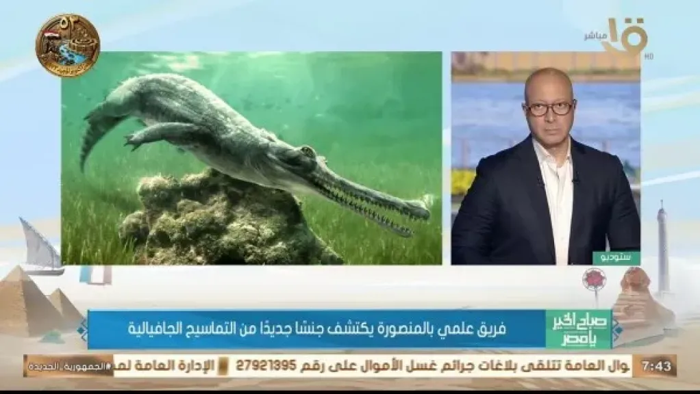 اكتشاف حفري لجنس جديد من التماسيح يعود إلى 45 مليون سنة في مصر