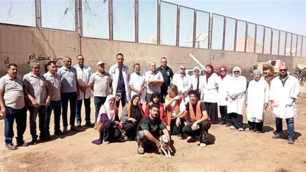 الزراعة تستكمل استعداداتها البيطرية لاستضافة بطولة الفروسية الدولية بمنطقة الأهرامات