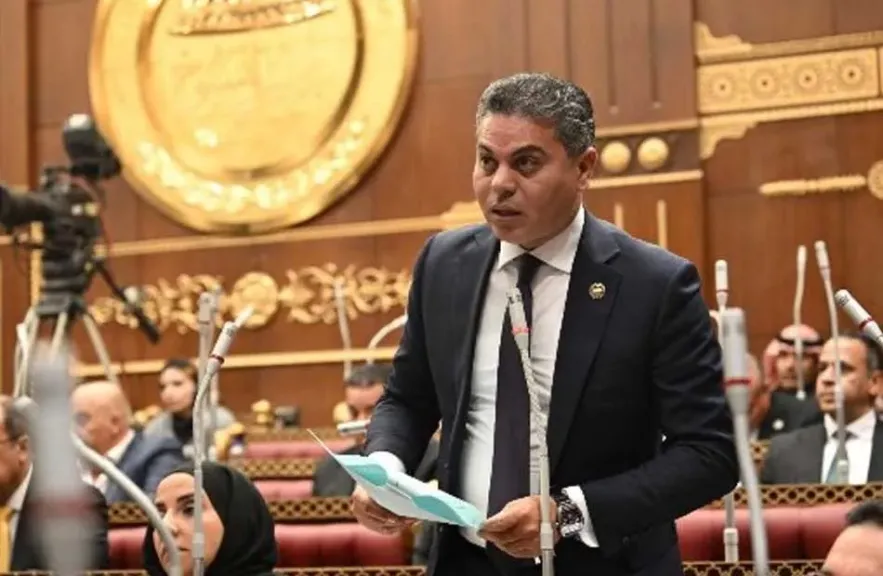 نائب بـ”خارجية الشيوخ” يطالب هولندا بكشف ملابسات توقيف أحمد ناصر وضمان حقوقه القانونية