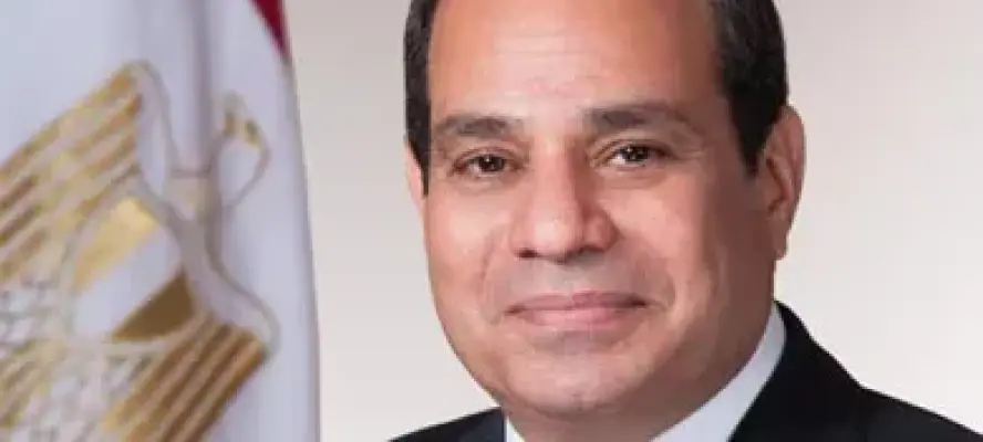الرئيس السيسي: مصر أكبر من قدرة أي تيار سياسي بمفرده