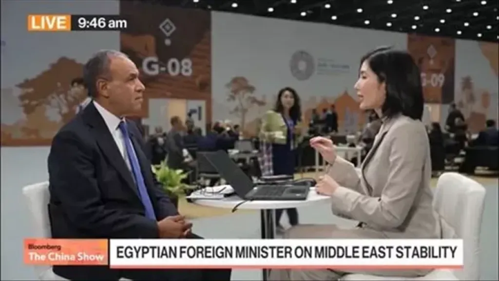 وزير الخارجية: مصر تتضامن مع السعودية ضد الاعتداءات ومستعدة لتقديم الدعم