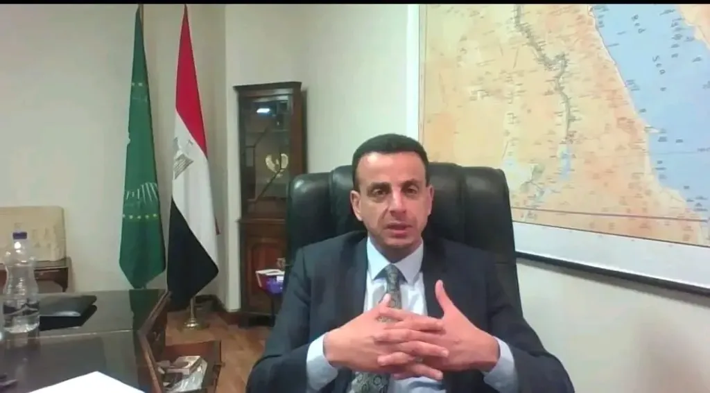سفير مصر بإثيوبيا يشارك باجتماع لجنة التسيير الإفريقية- الأوروبية المشتركة