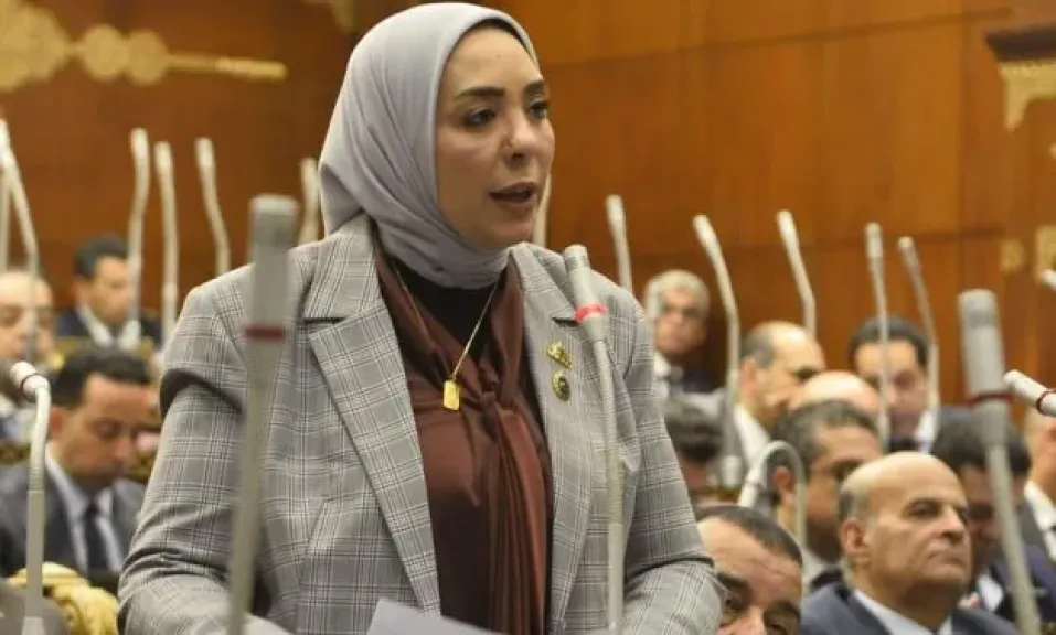 النائبة وفاء رشاد: تضامن مصر مع السعودية ثابت وراسخ تؤكده روابط الأخوة والمصير المشترك