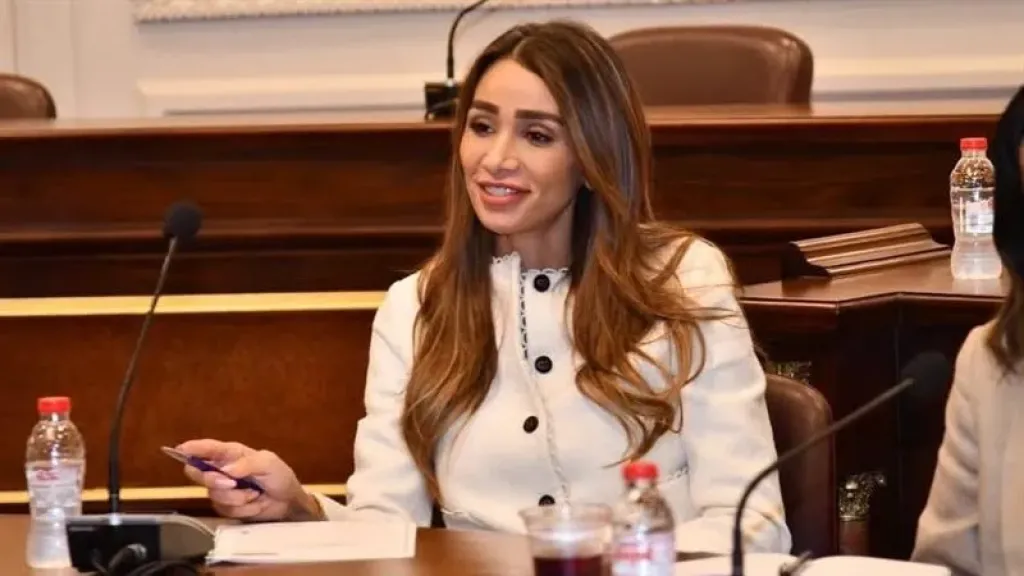 إنجي نصيف: حديث الرئيس السيسي عن التحديات يعزز أهمية التكاتف الوطني والحفاظ على استقرار الدولة