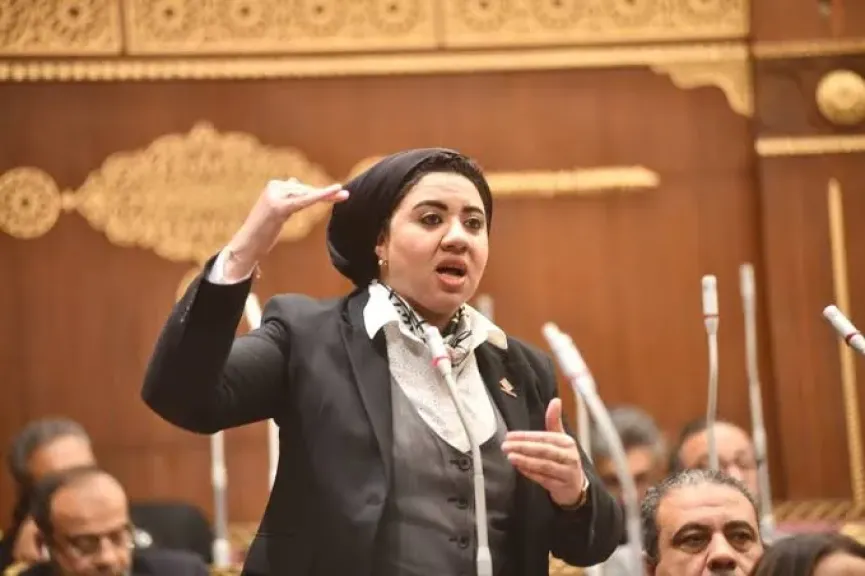 النائبة أميرة صابر: نثمن حديث الرئيس السيسي ودعم التداول السلمي للسلطة