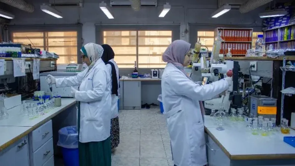 الزراعة: انخفاض ملحوظ في متبقيات المبيدات بالمنتجات الزراعية المصرية