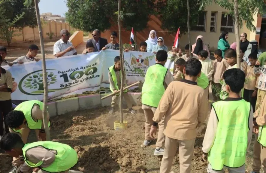 وزيرة التنمية المحلية والبيئة: توريد وزراعة 3620 شجرة ببني سويف.. تشمل الطرق والمحاور الرئيسية و3 مدارس