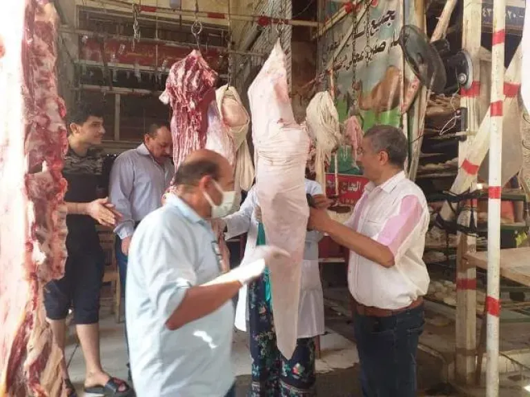 ضبط لحوم وكبدة فاسدة ومجهولة المصدر في حملة موسعة بمدينة منوف بالمنوفية