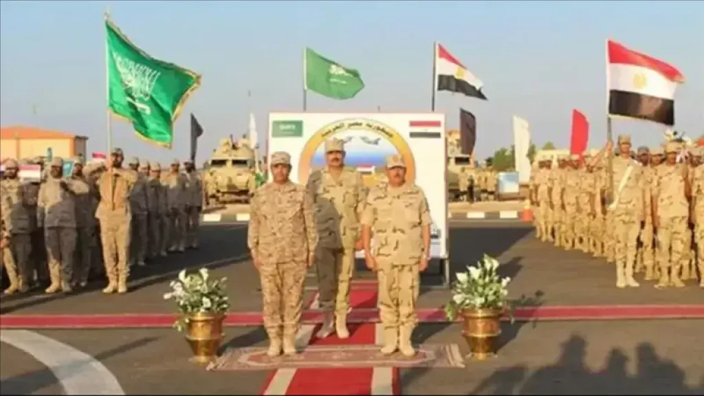 خبير أمن قومي: السياسة الدفاعية لمصر تعتمد على حماية أمن الأشقاء في إطار الالتزام الأخلاقي
