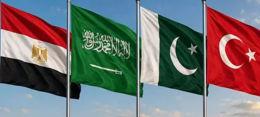 وزراء خارجية مصر والسعودية وتركيا وباكستان وفرنسا وبريطانيا وألمانيا يجتمعون بإسطنبول غداً