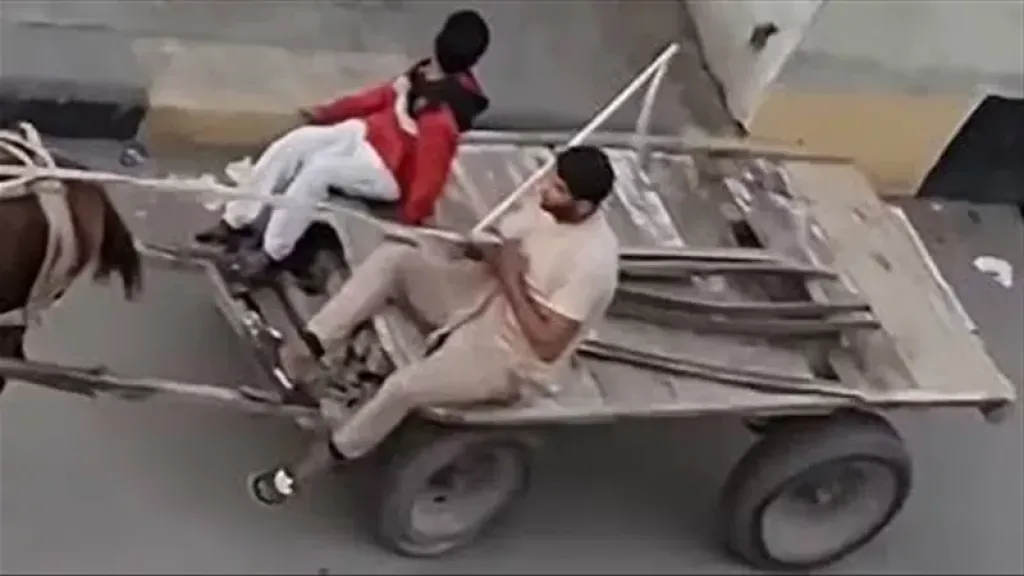 تحرك عاجل من النقل بعد فيديو سرقة مهمات بالسكك الحديدية في أبو كبير بالشرقية