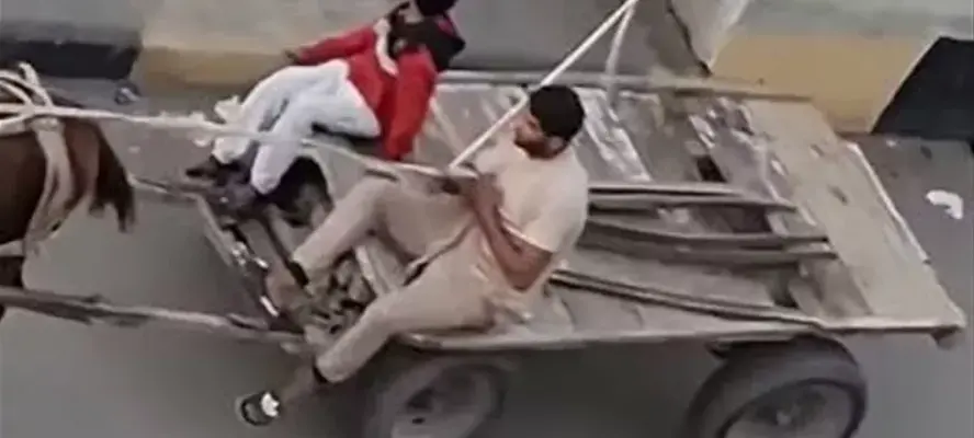 تحرك عاجل من النقل بعد فيديو سرقة مهمات بالسكك الحديدية في أبو كبير بالشرقية