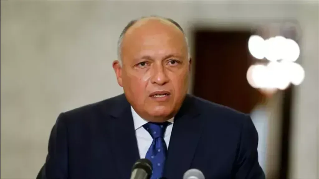 سامح شكري: اضطرابات باب المندب تؤثر على قناة السويس والاقتصاد العالمي