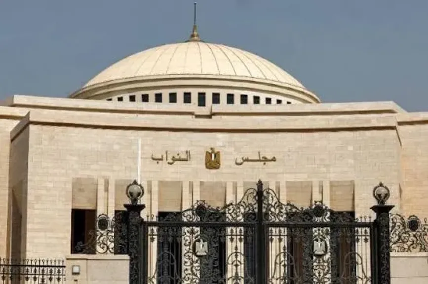 رضا فرحات يوضح أسباب موافقة البرلمان على إرسال قوات عسكرية للسعودية