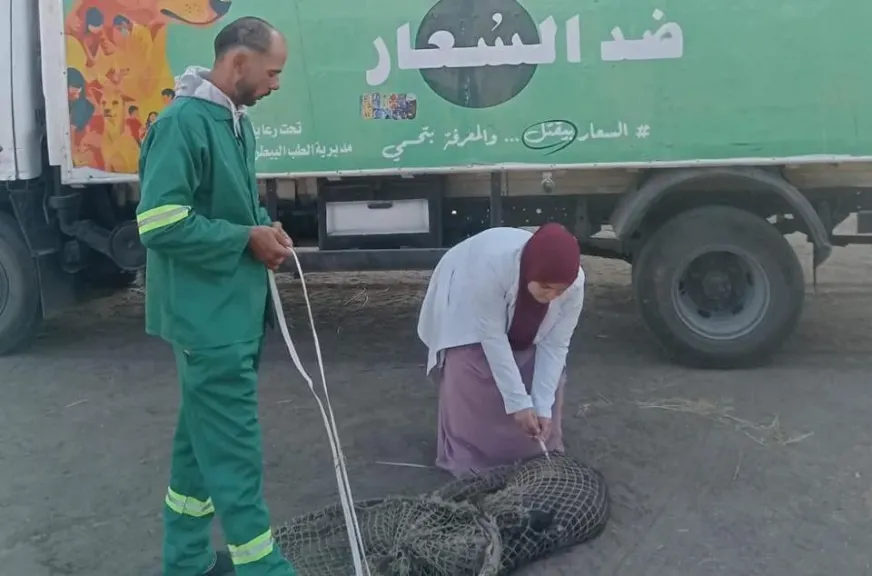 حملات لمواجهة الكلاب الضالة في قرية البدالة بالدقهلية