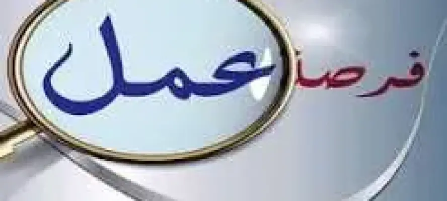 5753 فرصة عمل جديدة بالقطاع الخاص داخل 15 محافظة.. التفاصيل