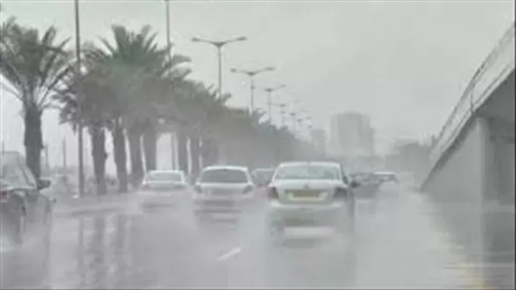 الأرصاد تحذر من الشبورة المائية والأمطار.. تفاصيل حالة الطقس الأيام المقبلة