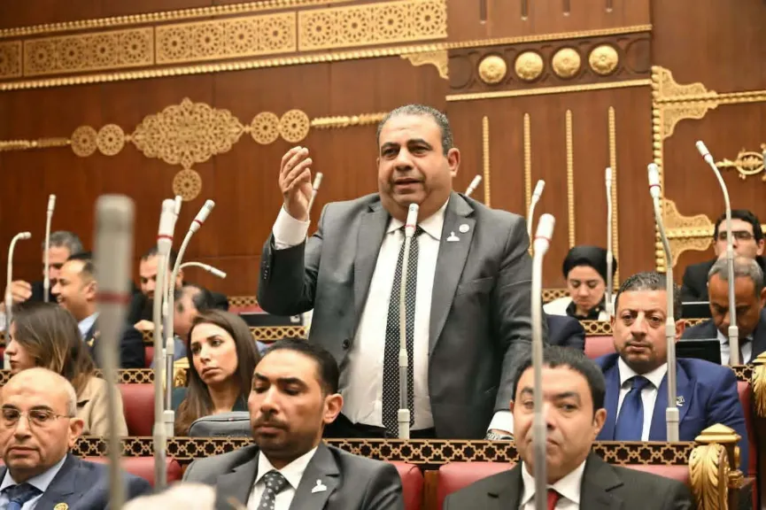 مقترح برلماني لمواجهة تشغيل الأطفال بالمزارع.. وتطوير آليات الوصول للأسر الأكثر احتياجا